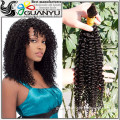 Unprocessed 100% cambodian remy hair cambodian kinky curly hair bulk